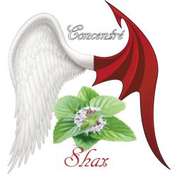 SHAX CONCENTRE